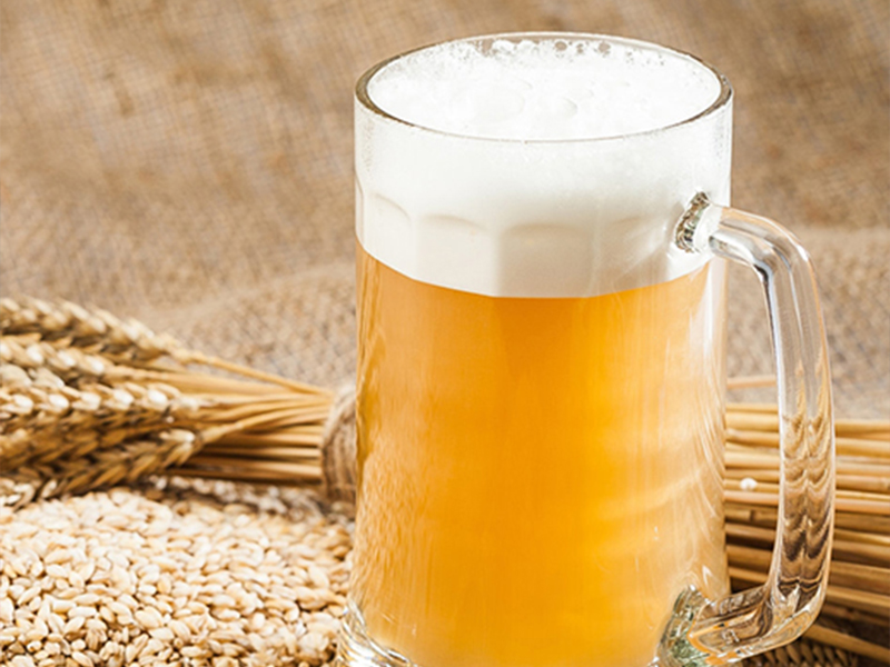 Gelatin for Alcoholic Beverages Applications