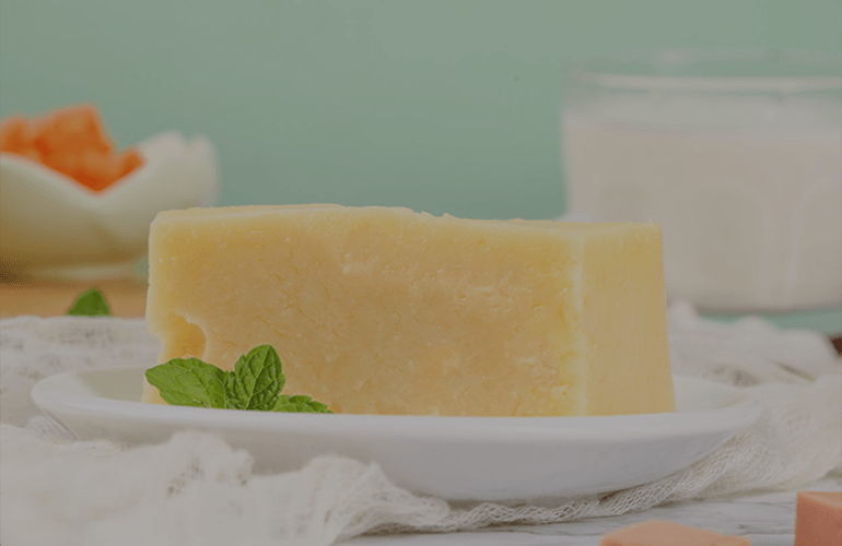 Application of Soft cheese in Gelatin-Food Gelatin Manufacturer