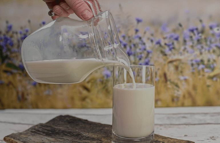 Application of Food Gelatin in Dairy Products | Edible Gelatin Manufacturers Application of Food Gelatin in Dairy Products | Edible Gelatin Manufacturers