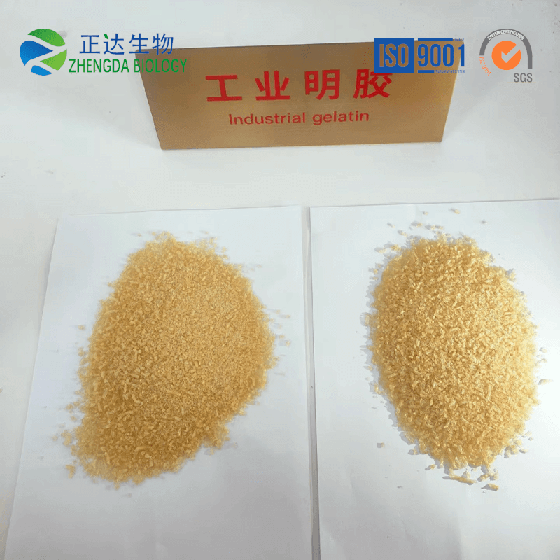 gelatin granules
