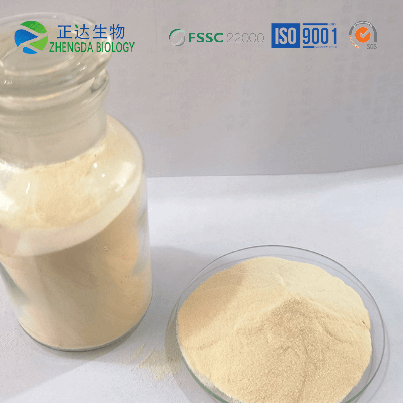 Industrial Collagen powder Manufacturers