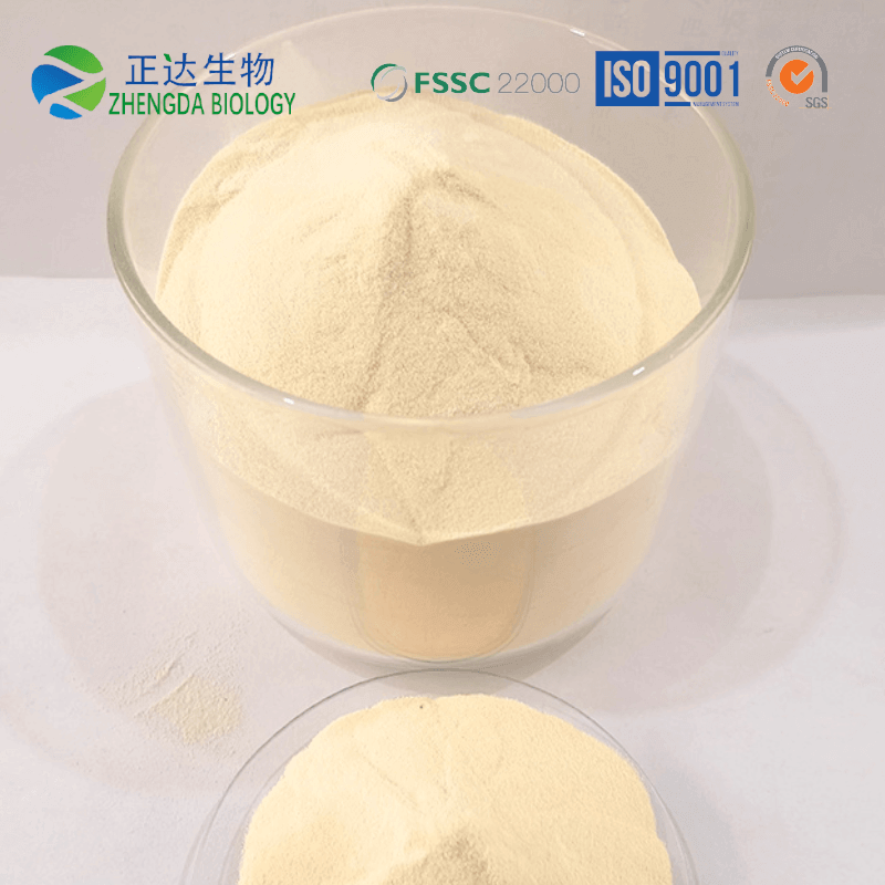Industrial protein powder Manufacturers