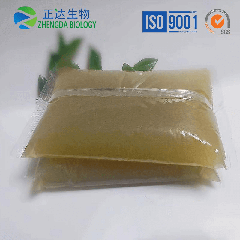 Jelly Glue