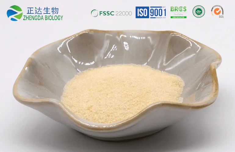 140 Bloom Gelatin-Edible Gelatin Powder Manufacturer