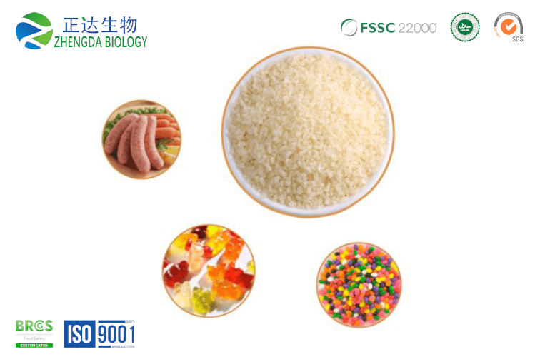 Fish Gelatin