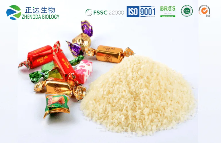 Halal Grade Gelatin
