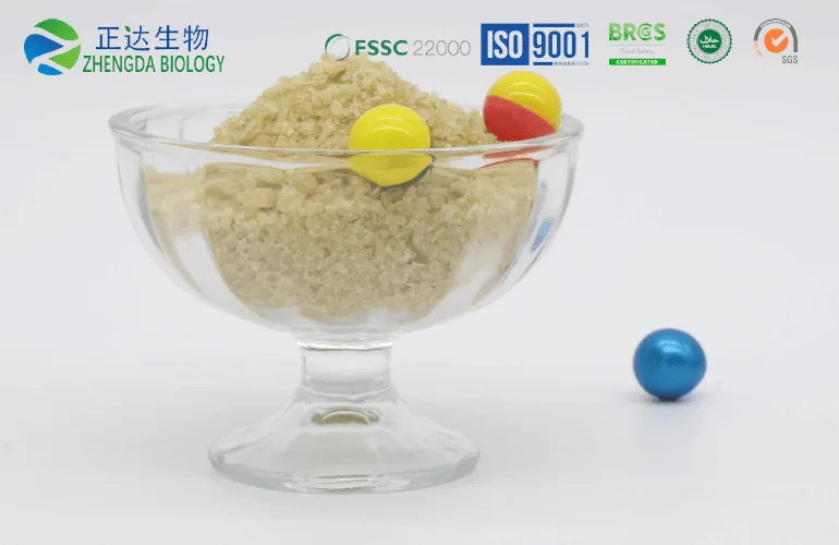 Paintball Gelatin Shells | Durable & Safe Capsules