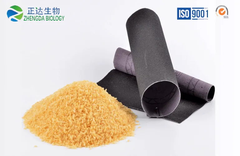 Sandpaper Gelatin