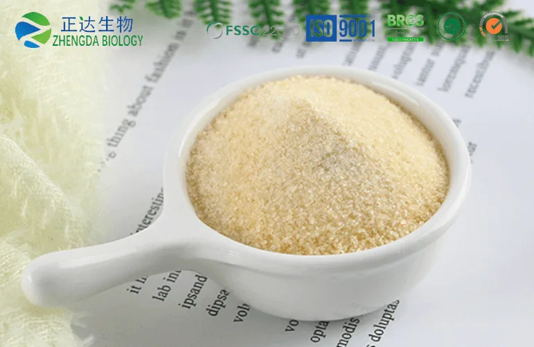 food gelatin powder