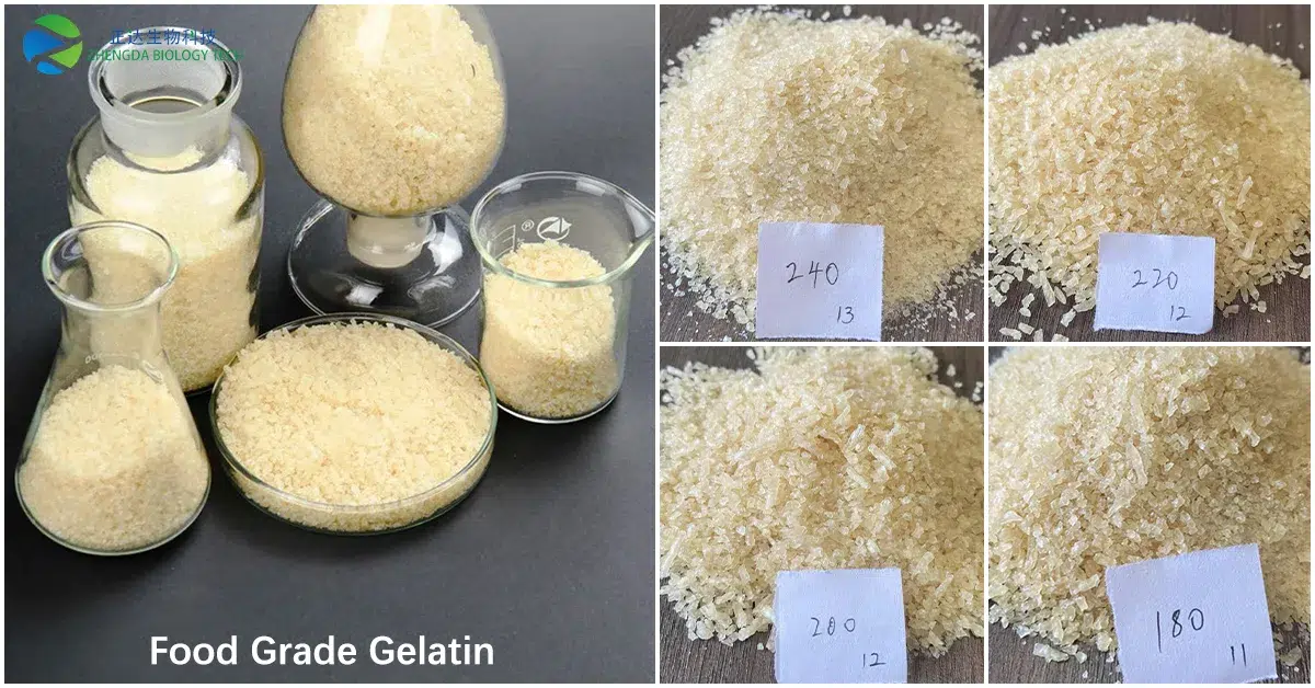 Food Grade Gelatin Manufacturing Factory in China