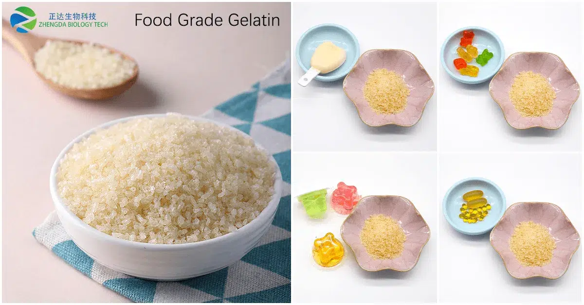 China Gelatin Manufacturing Factory