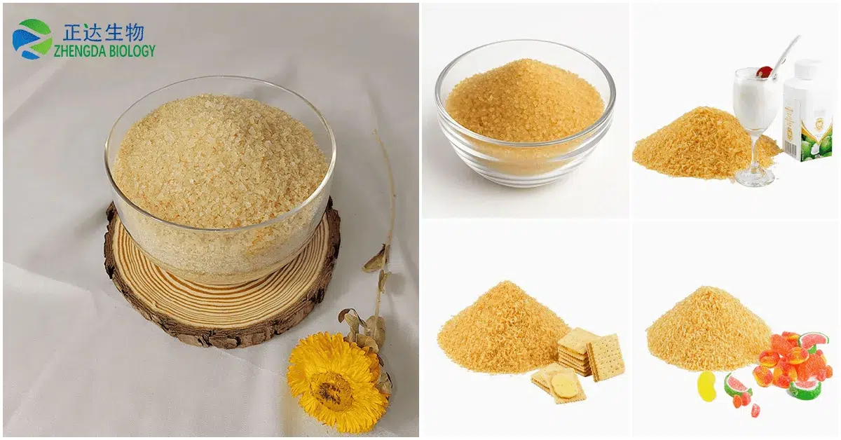 Expert Bovine Gelatin Manufacturer in China – ZHENGDA