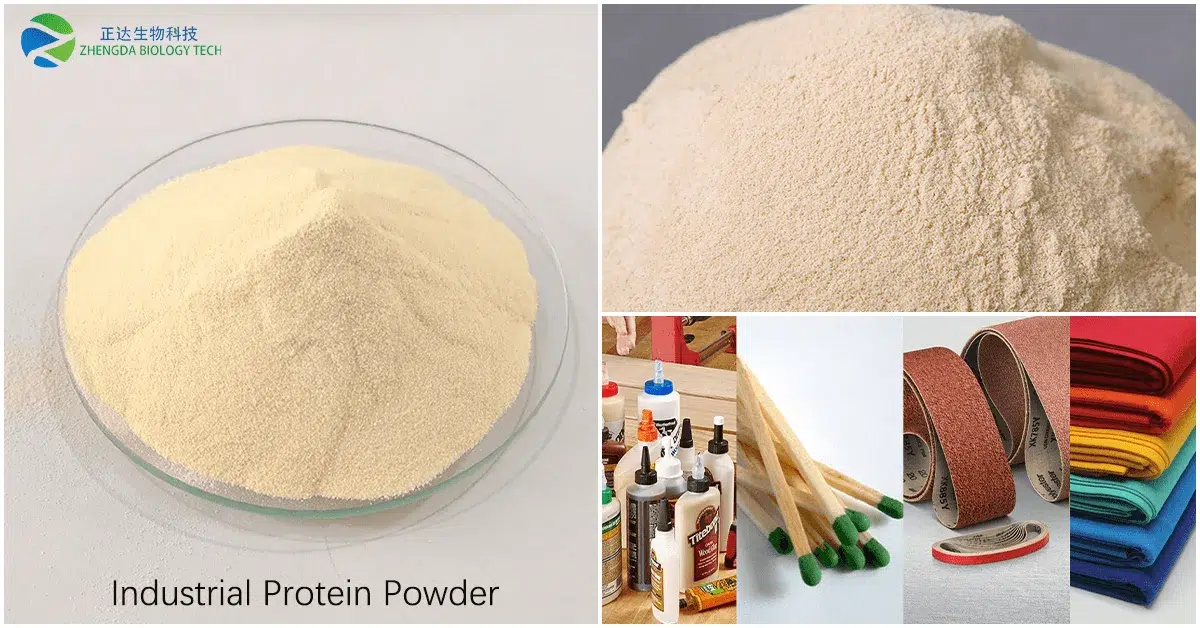 Industrial Protein Powder Manufacturer in China - ZhengDa