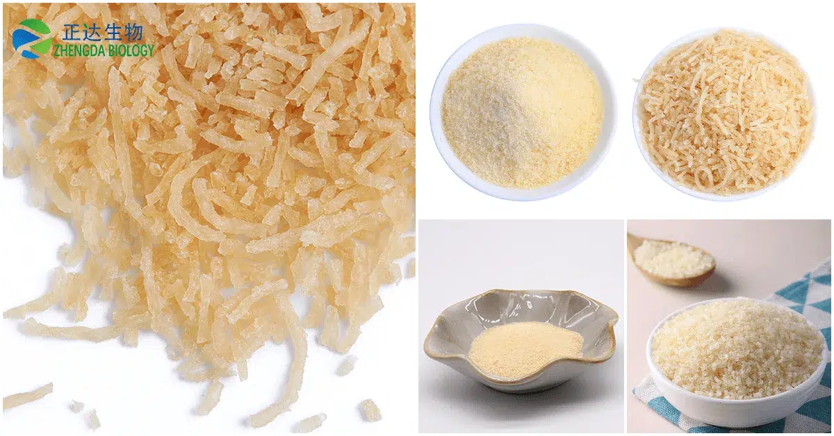 What is Bovine gelatin-China Gelatin Manufacturer