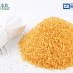Premium Industrial Gelatin Manufacturing Factory in China