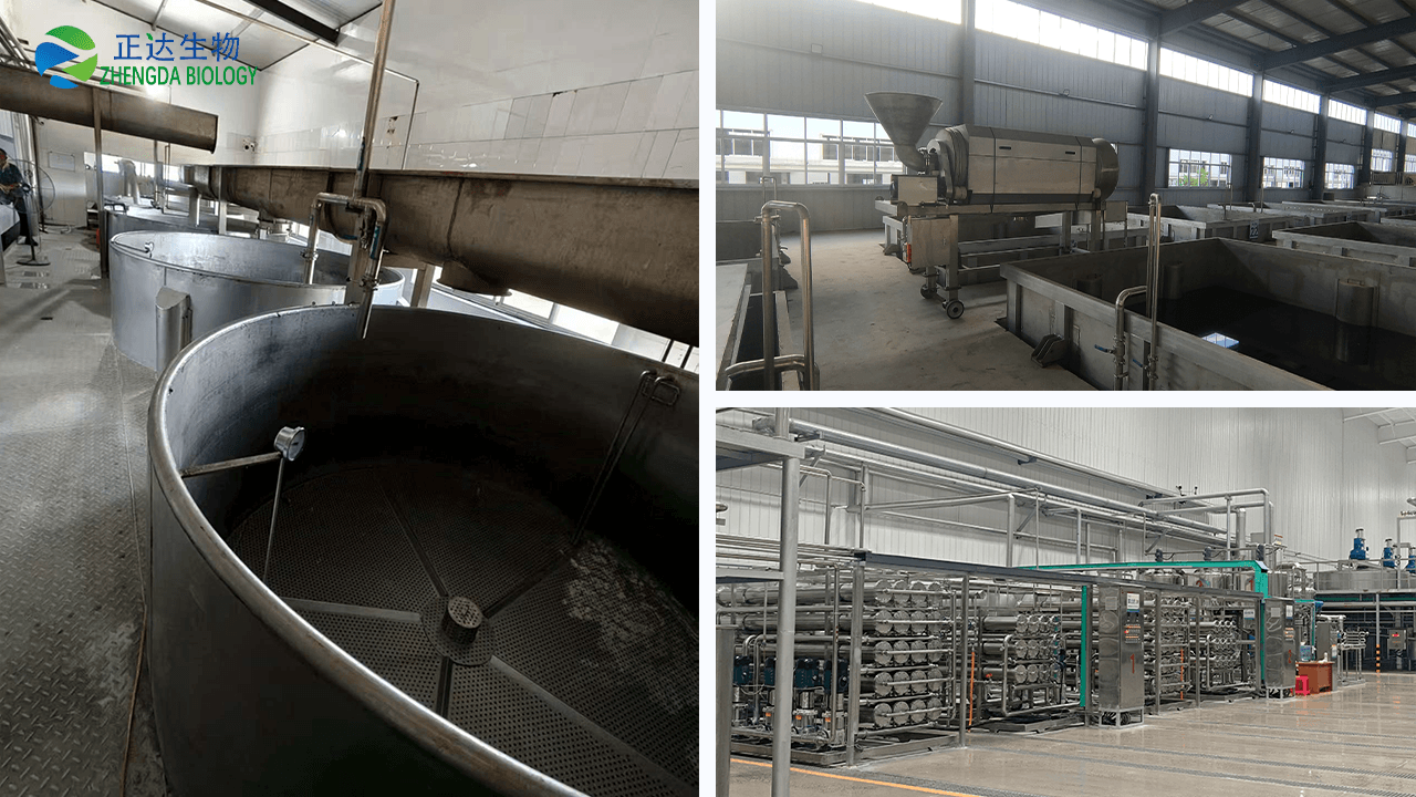 Food Gelatin Equipment Manufacturer