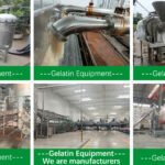 Gelatin Equipment Manufacturer - Chinese Gelatin machinery Supplier