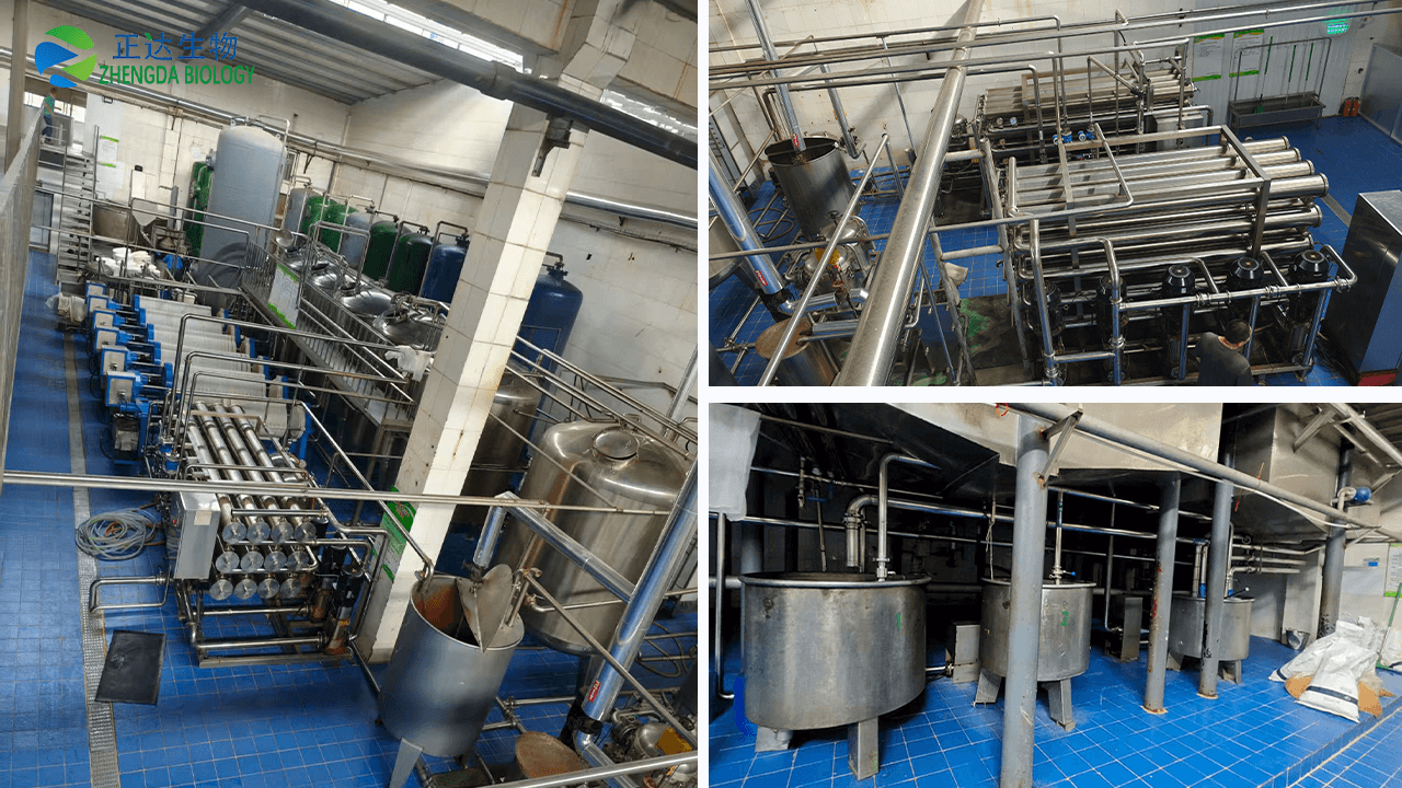 Gelatin Manufacturing Plant- Complete Turnkey Gelatin Manufacturing Plant Solutions